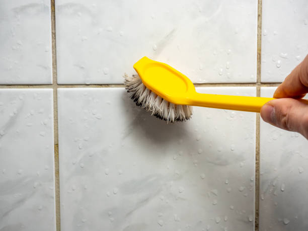 Certified Mold Removal in Oronogo, MO